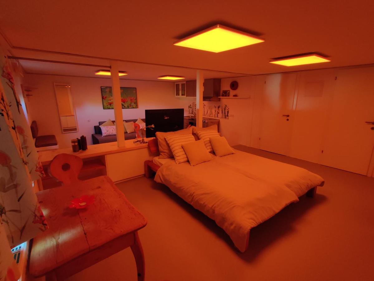 Berger Apartment Kitzbühel